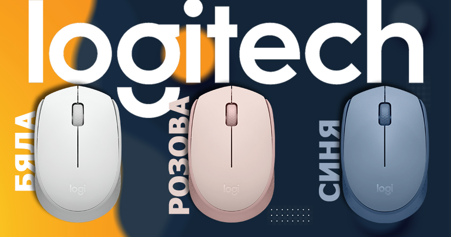 Logitech M171