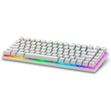 Alienware Pro Wireless Gaming Механична клавиатура 545-BBFR - US (Лунна светлина) детайлна снимка 1